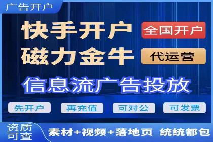 某行业头部企业信息流广告推广全解析